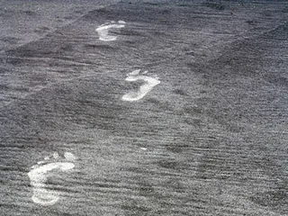 Foto von Spuren im Sand