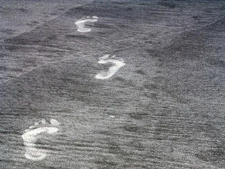 Foto von Spuren im Sand